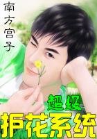 超級護花系統
